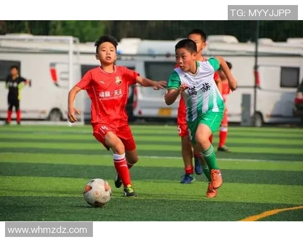 重庆足球队的蜕变与未来展望解析