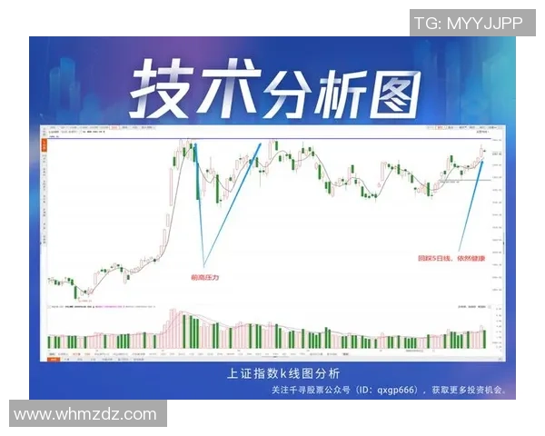 成都篮球队与深圳篮球队赛后技术分析与战术复盘探讨